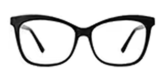 Reading Glasses