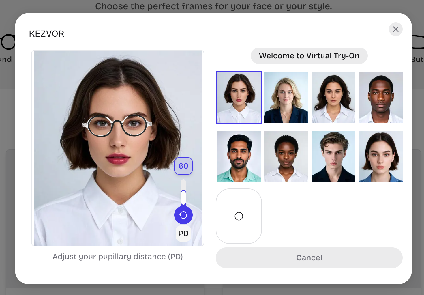 Step 2: Select a model and adjust PD with the slider
